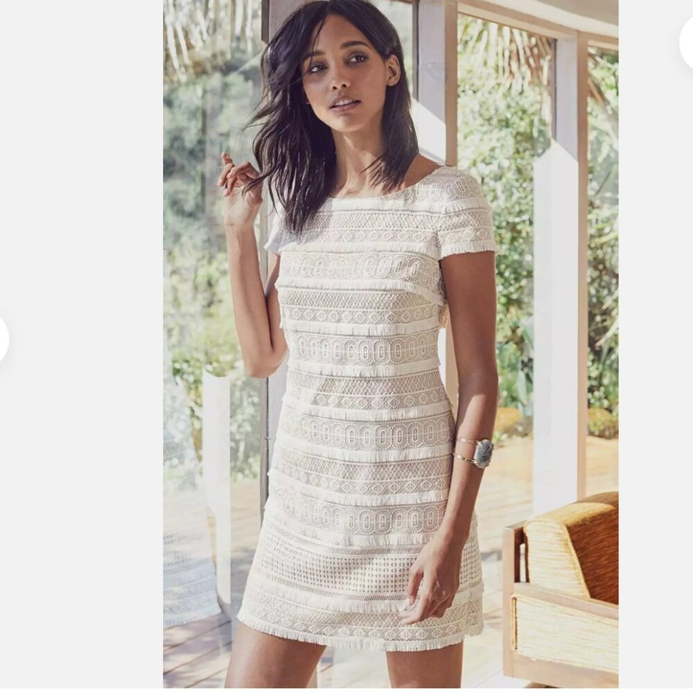 Eliza J Lace Fringe Short Sleeve Shift Dress - White- Size 2
